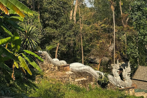 Visite du Doi Suthep et du temple Wat Pha Lat en soirée