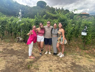 Private Etna Tour: Lunch, Wine Tasting at a Winery from Taormina/Catania