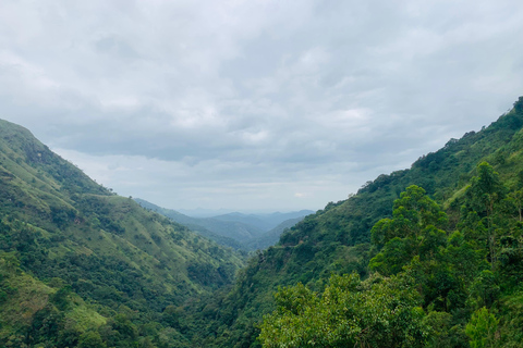 Excursión de varios días por Sri LankaExcursiones de varios días y Excursiones de un día