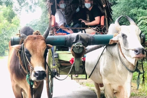 Descubrimiento de Dambulla: Encuentros en pueblos auténticosDe las Alturas de Sigiriya a las Profundidades de Dambulla: Un viaje cultural