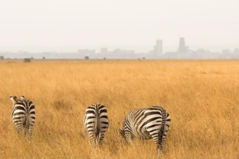 Nairobi: Nationaal Park, Olifantenweeshuis en Giraffe Tour