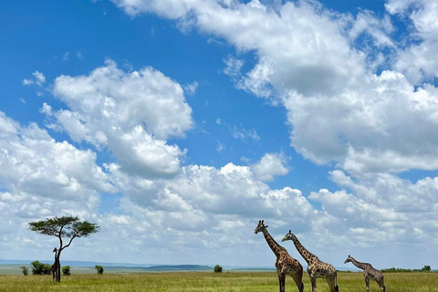 From Nairobi: Private 3-Day Masai Mara Big Five Game Drive