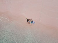 4日間コモド旅行（バリから始める） - Housity