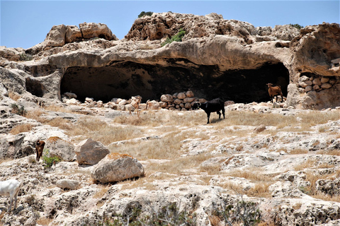 Paphos: Land Rover Jeep Safari Coastal Tour and Blue Lagoon