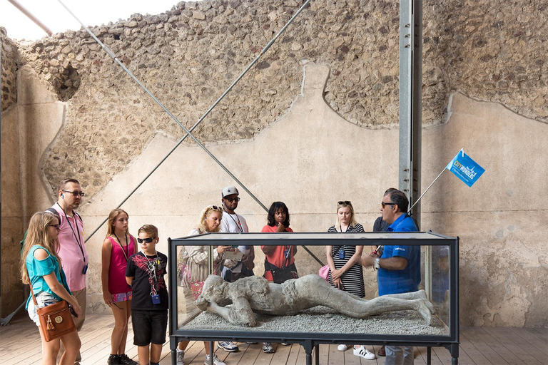 Pompei: Tour guidato &quot;salta la lineaTour guidato in inglese