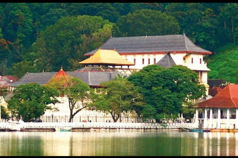 Sigiriya: Kandy VIP Transfer with Temple & Dance Show