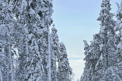 利维：利维山雪地摩托越野之旅Levi: Snowmobile Safari around Levi Fell