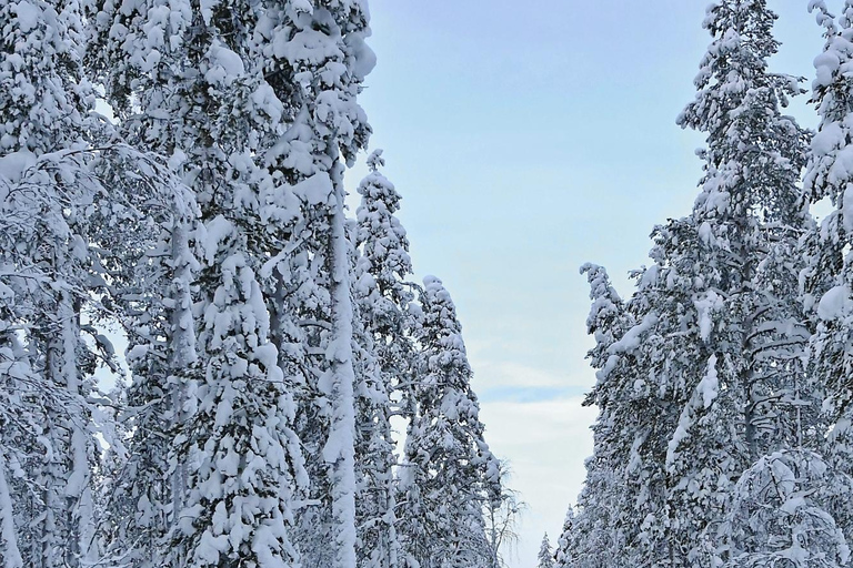 利维：利维山雪地摩托越野之旅Levi: Snowmobile Safari around Levi Fell