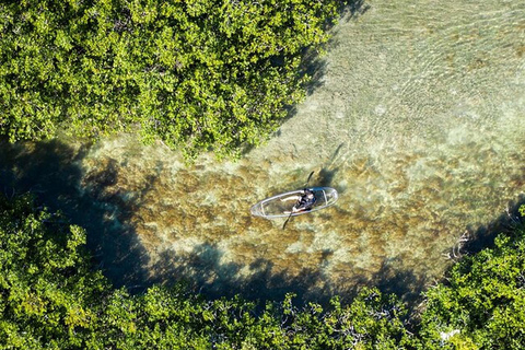 Key West Area: Guided Clear Kayak Eco-Tour