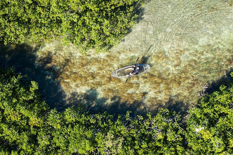 Key West Area: Guided Clear Kayak Eco-Tour