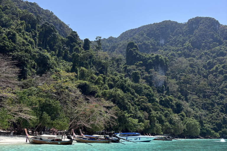 Phi Phi Islands: Shark Snorkeling Phi Phi Islands: PRIVATE VIP Shark Snorkeling - 4h