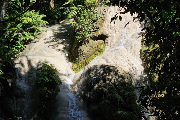 Chiang Mai: Sticky Waterfall Halfdaagse Tour & Hotel Transfers