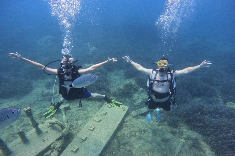 Lado: Buceo y Museo Subacuático con traslado al hotel