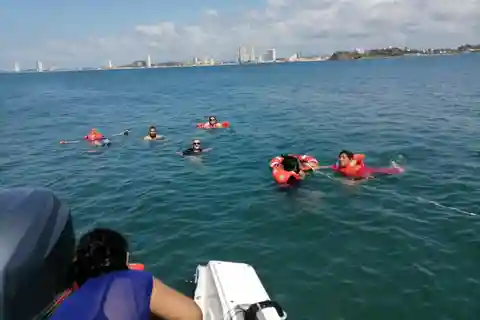 Mazatlan - Circuit de plongée en apnée et d'observation des oiseaux dans les 3 îles