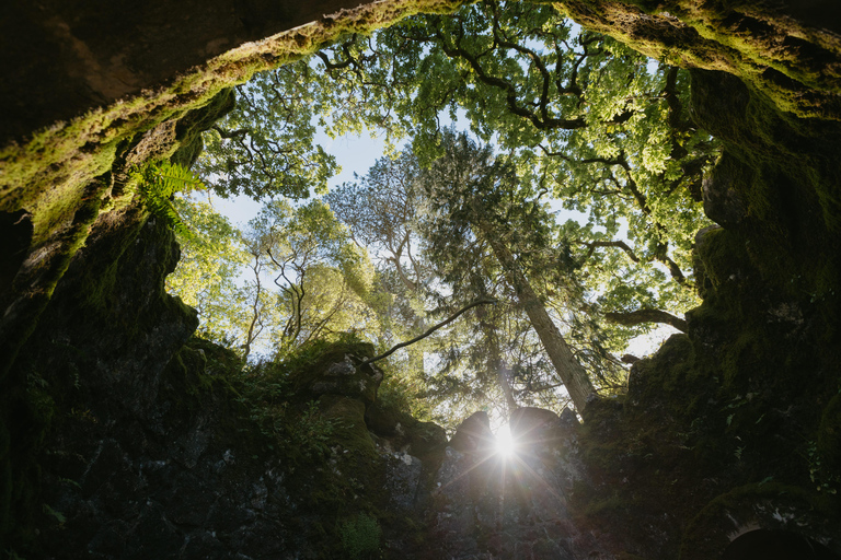 Sintra: Biglietto d'ingresso per Quinta da Regaleira e tour guidatoTour in portoghese