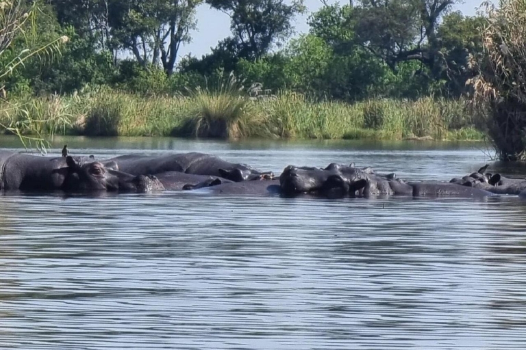 Delta del Okavango: Excursión en Mokoro/Canoa de 1 día, todo incluido