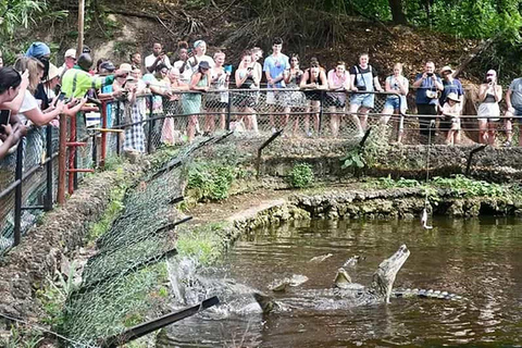 Mombasa: Old Town and Haller Park Guided Day Tour.