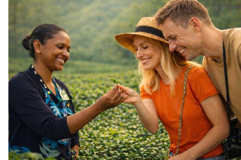 From Kandy: 2-Day Highlights Tour with Scenic Train to Ella