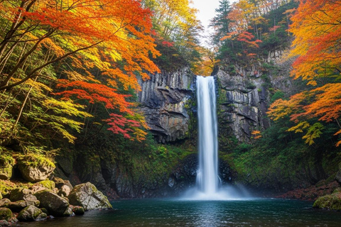 Osaka: Guidad tur till Cup Noodles Museum och Minoh Park