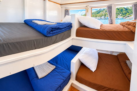 3D Komodo Sailing & Land Tour 12 Stops Single Bed & Hotel 3-Day Shared Cabin, Single Bed No Land Tour No Park Fee