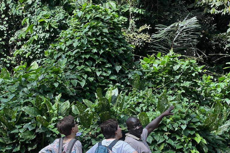 Kampala:Full day Jinja Adventure Tour (Female Led)