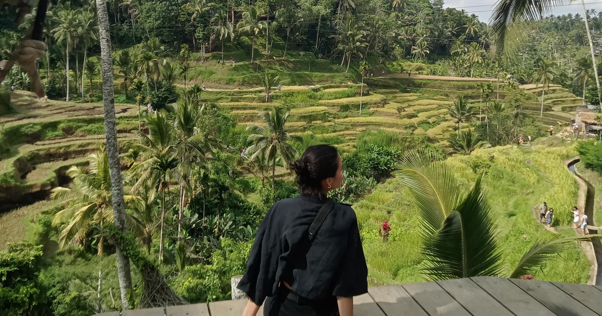 Ubud Apenbos tempel en waterval privétour GetYourGuide