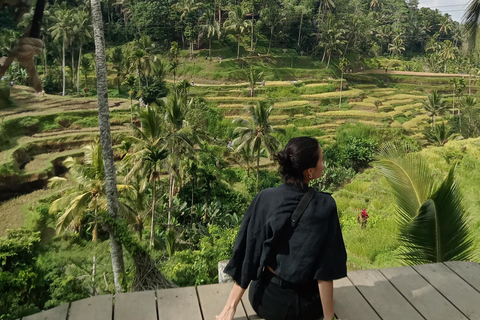 Ubud: Tour particular pela floresta de macacos, templo e cachoeiraPasseio com almoço