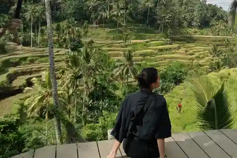 Ubud : visite privée de la forêt des singes, des temples et des chutes d'eau