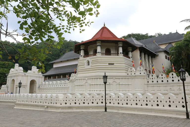 Kandy: Cultural Tour, Temple of Tooth Relic,Ultimate Temples