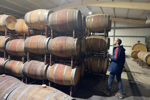 From Santiago: Casa Fevre Tour with Wine Tasting