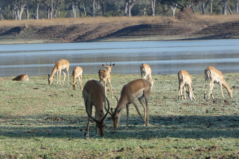 Lusaka: 5-Day Lower Zambezi Safari with Game Drives