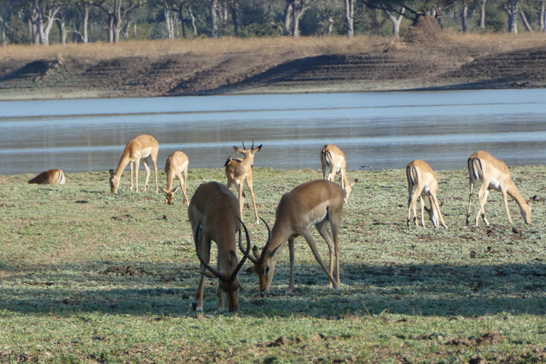 Lusaka: 5-Day Lower Zambezi Safari with Game Drives