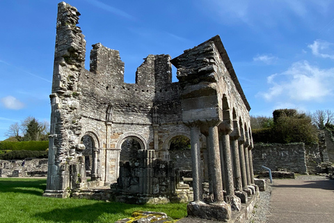 من دبلن: رحلة ليوم واحد إلى نيوجرانج ووادي بويندبلن: رحلة ليوم واحد إلى نيوغرانغ ووادي بوين