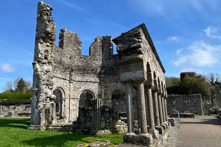 من دبلن: رحلة ليوم واحد إلى نيوجرانج ووادي بويندبلن: رحلة ليوم واحد إلى نيوغرانغ ووادي بوين