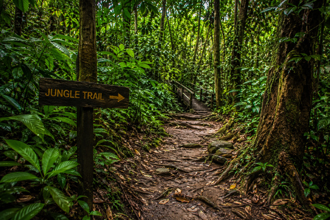 Taman Negara Tour