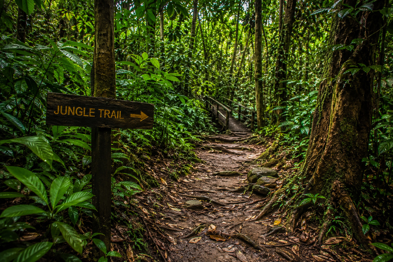 Taman Negara Tour