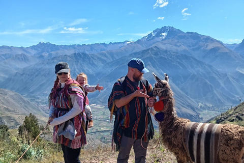 From Cusco: Sacred Valley Llama Walk & Local Family Visit