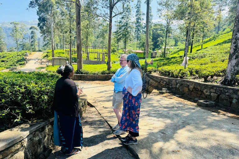 Sri Lanka: 10-dniowa wycieczka z Sigiriya, Kandy i Ella