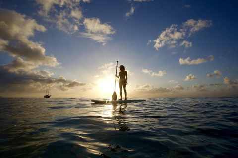 Honolulu: Introduktion till Stand-Up Paddling-klass