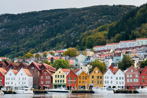 Tour privato di 2 giorni con treno per Flåm, Hardagerfjord e crociera