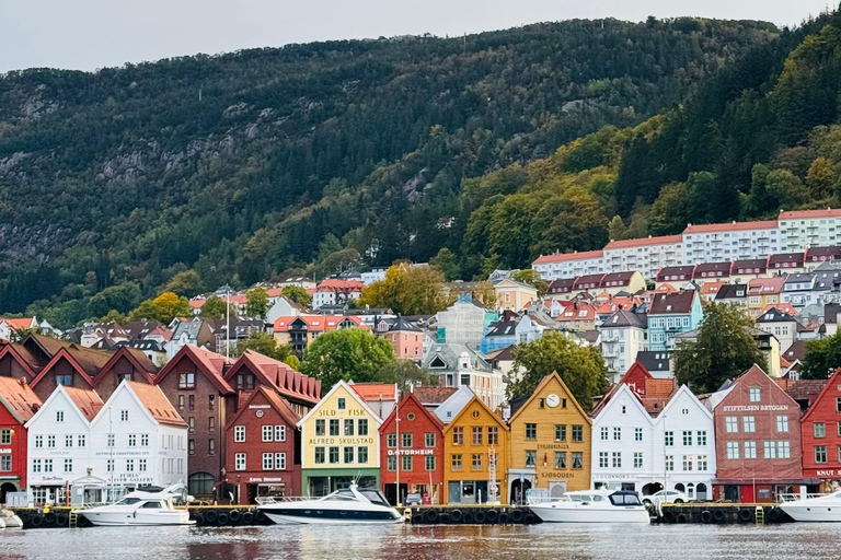 Tour particular de 2 dias com comboio de Flåm, Hardagerfjord e cruzeiro