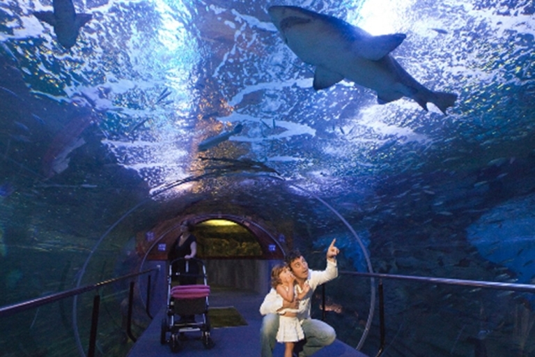 Eintrittskarte für das Aquarium von San Sebastian und StadtrundgangSpanische Tour