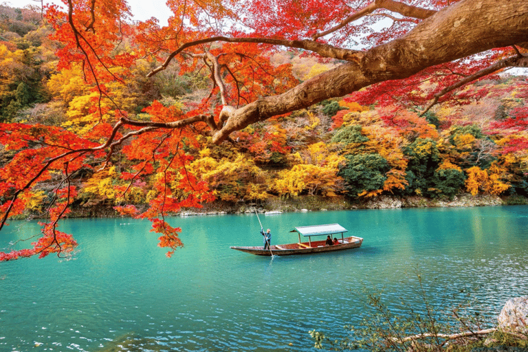 Kioto/Osaka: Kioto y Nara Excursión de un día con guía personalizada