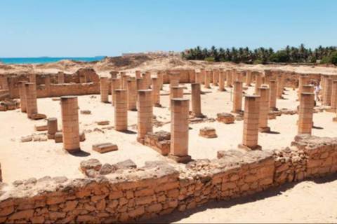 Salalah: Half-Day Private City Highlights Tour