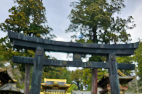 Nikko Private Day Tour with English Speaking Expert Driver