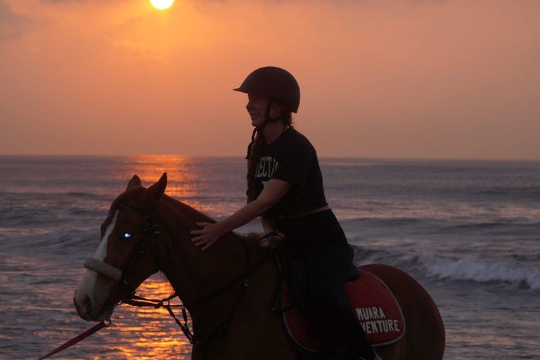 Bali: Sunrise Horse Riding Sanur Beach Experience 1 Hour Ride Include Hotel Transfer