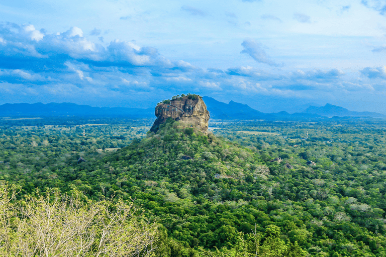 Colombo: Sigiriya & Dambulla All Inclusive Day Tour