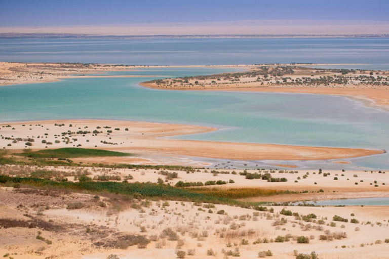 Kairo: Fayoum Fayoum, Wadi El Rayan och Wadi al Hitan 4x4-turDelad tur utan biljetter och lunch