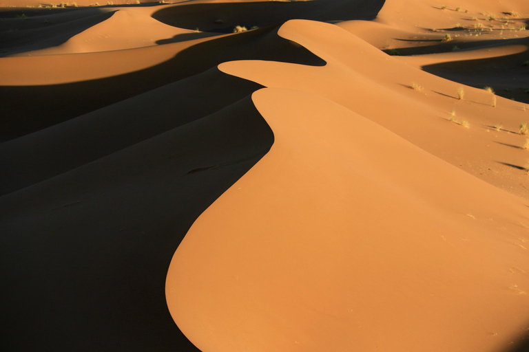 Namib Desert Sunrise 4x4 Tour with Breakfast