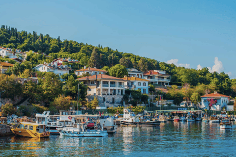Istanbul:Princess Island(Büyükada)& Island Electric Car Trip Tour only includes guidance.